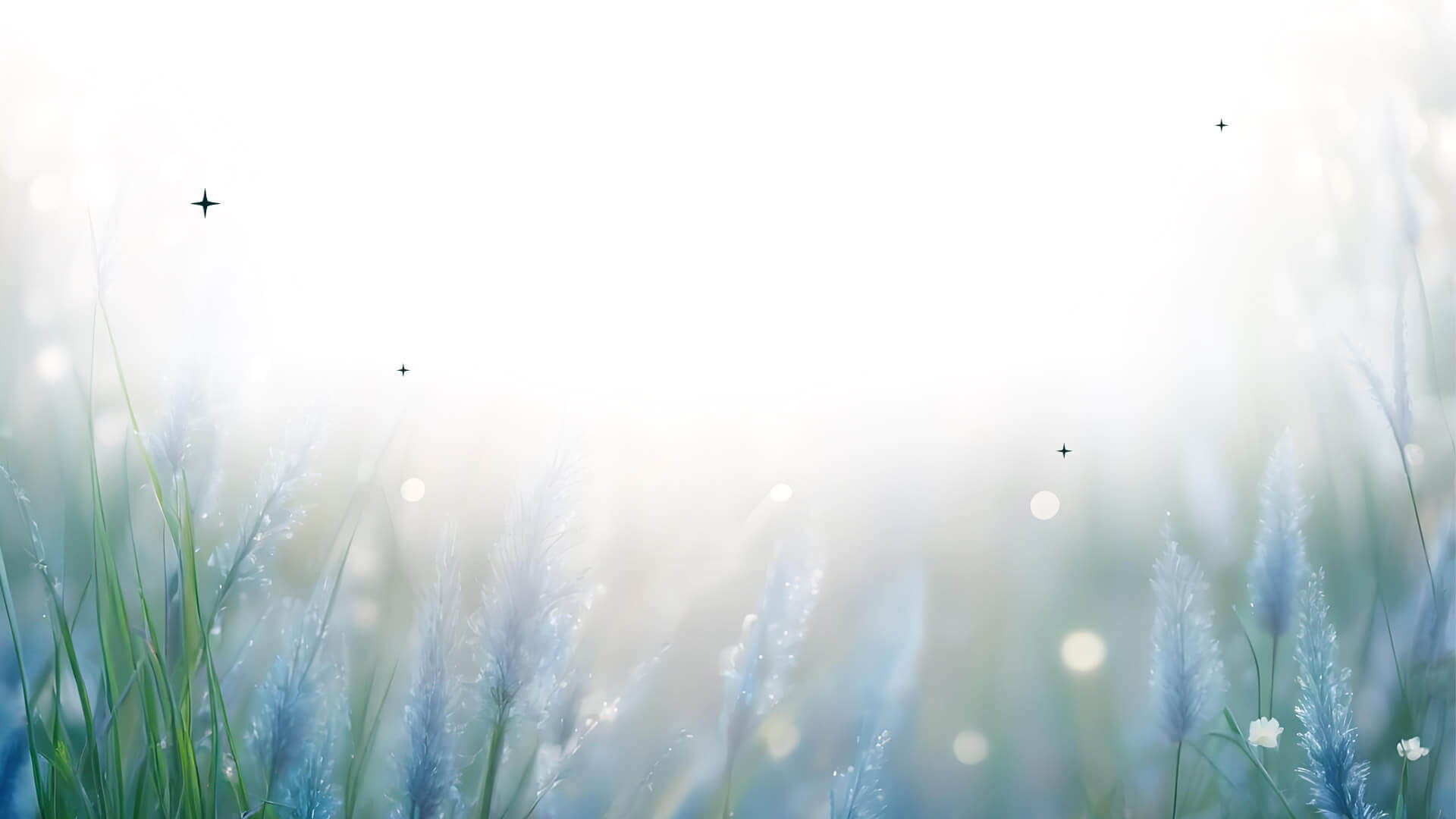 desktop background